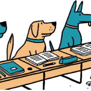 éducation chien