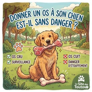 donner un os à son chien est-il sans danger ?