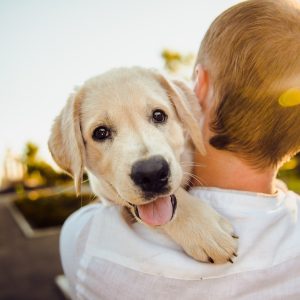 chien dans les bras de son maître