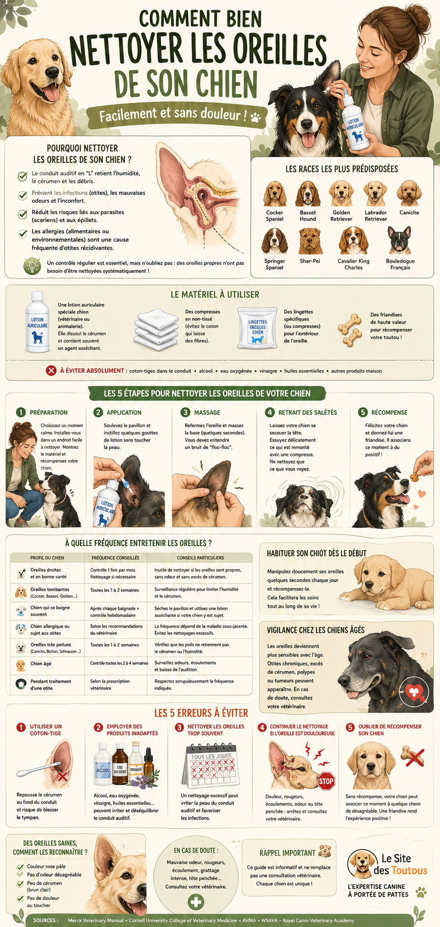 Infographie expliquant comment nettoyer correctement les oreilles d'un chien, le matériel à utiliser, les étapes, la fréquence d'entretien, les erreurs à éviter et les signes d'une otite.