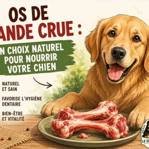 os viande crue