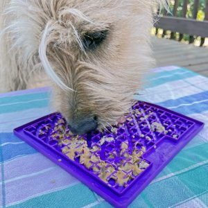 tapis à lécher pour chien