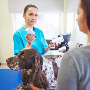 Une vétérinaire qui prend soin d'un chien