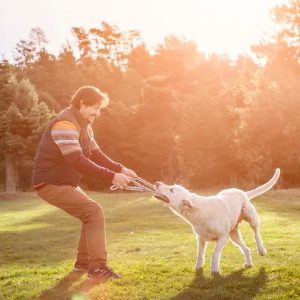 Un chien qui joue au tir à la corde