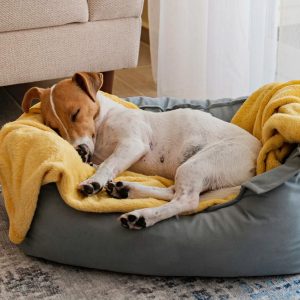 Un chien endormi dans son panier
