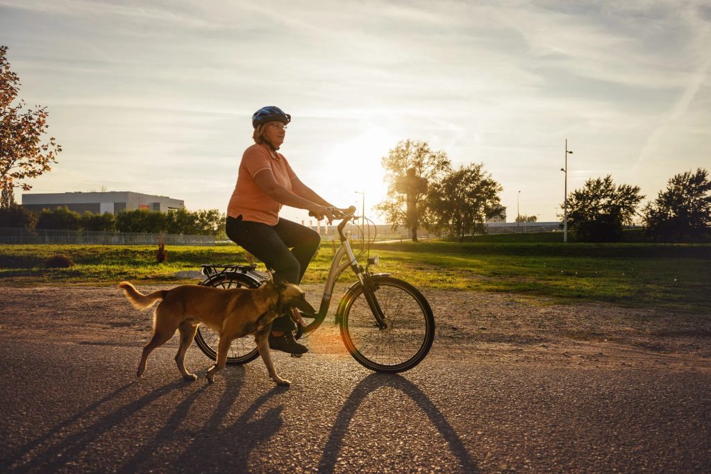 un chien qui marche à côté d'un vélo