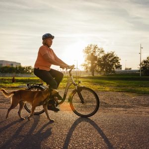un chien qui marche à côté d'un vélo