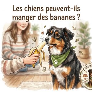 un chien qui renifle une banane