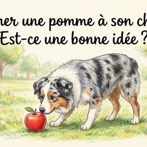 un chien qui renifle une pomme
