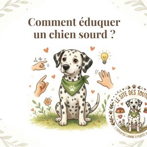 éducation d'un chien sourd
