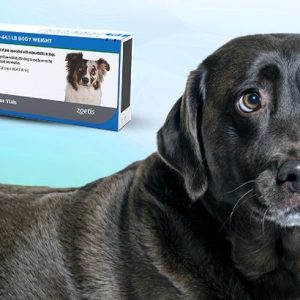 librela pour les chiens