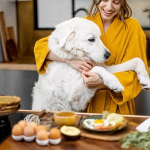 un chien dans une cuisine