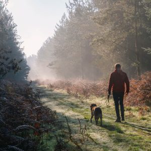 promenade matinale avec son chien