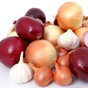 oignons