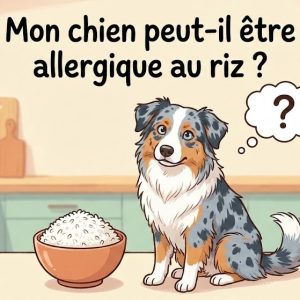 allergie au riz chez le chien