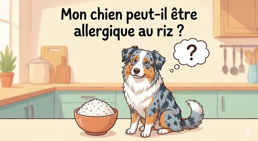 allergie au riz chez le chien