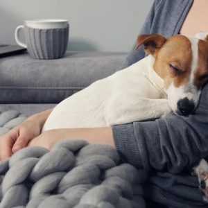 une chienne endormie dans les bras de sa maîtresse