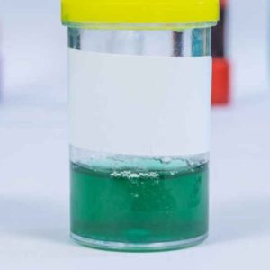 urine verte chez le chien