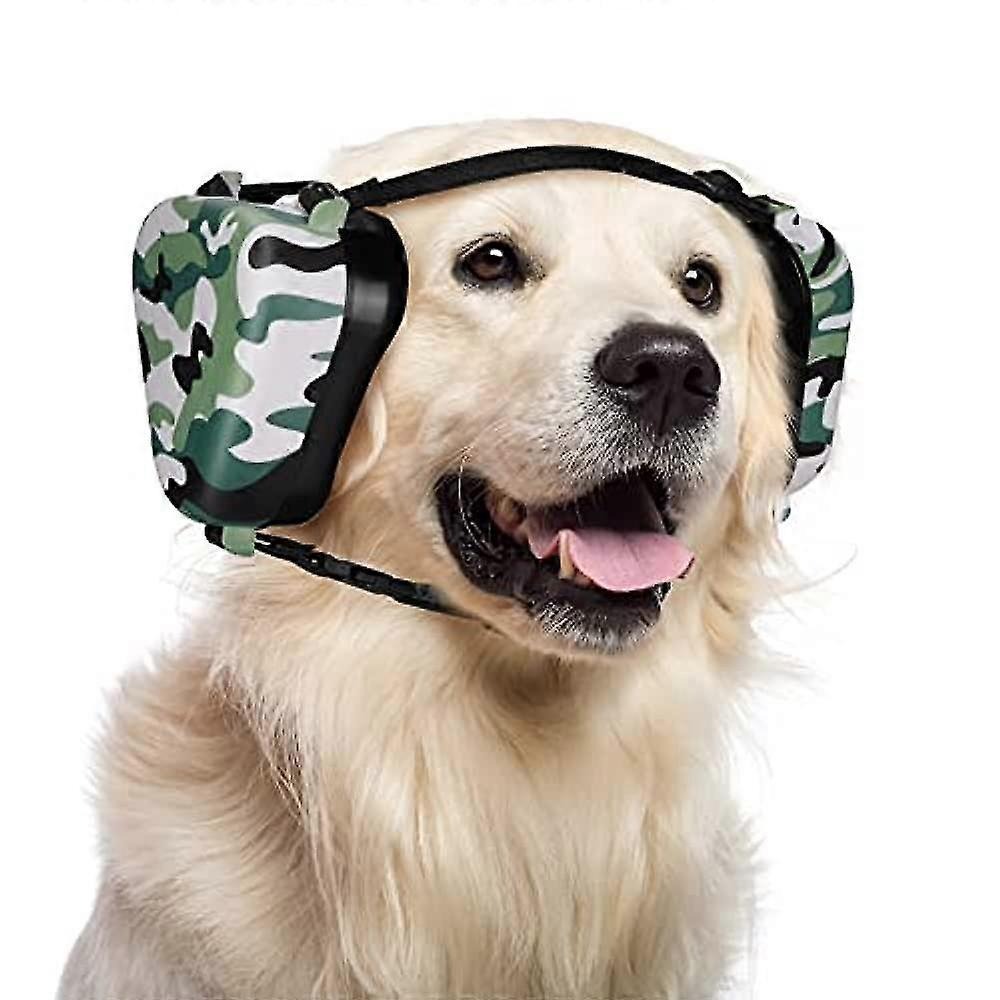 un chien qui porte un cache-oreilles