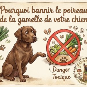 alimentation poireau chien