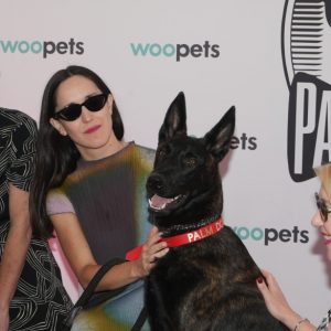 la chienne Yuri Palme Dog 2026