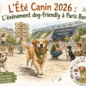 été canin 2026